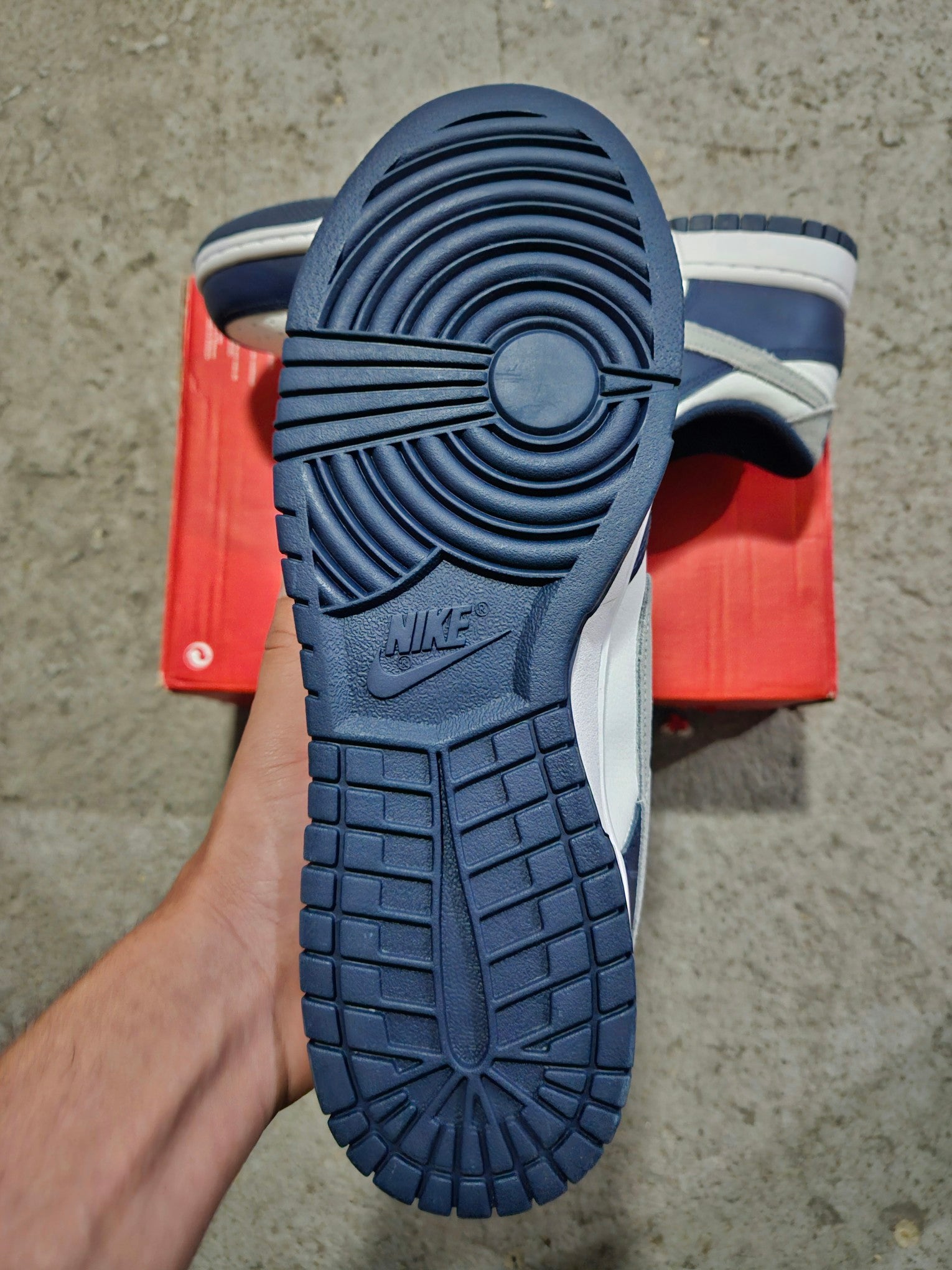 Nike Dunk Low