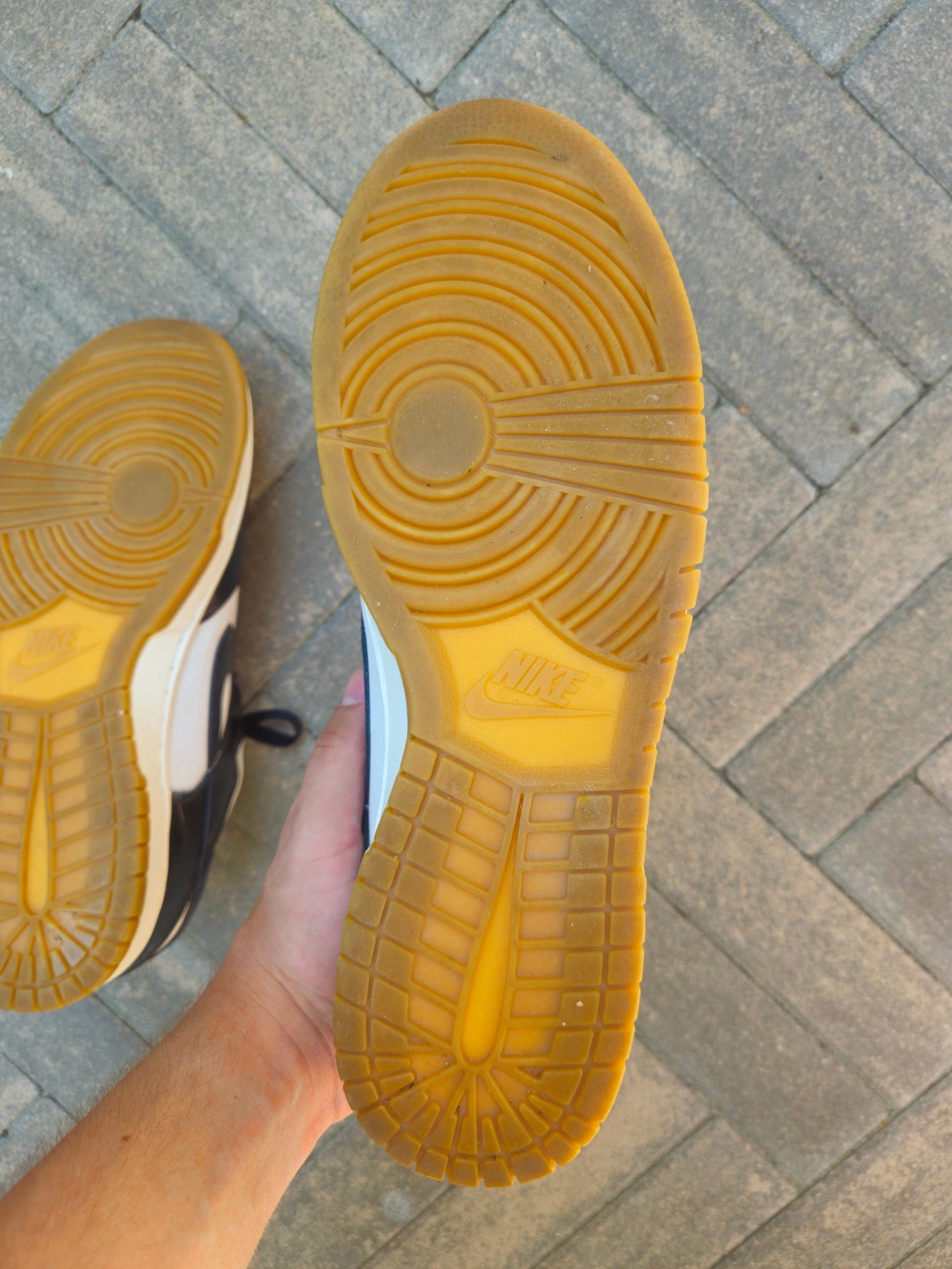 Nike Dunk Low