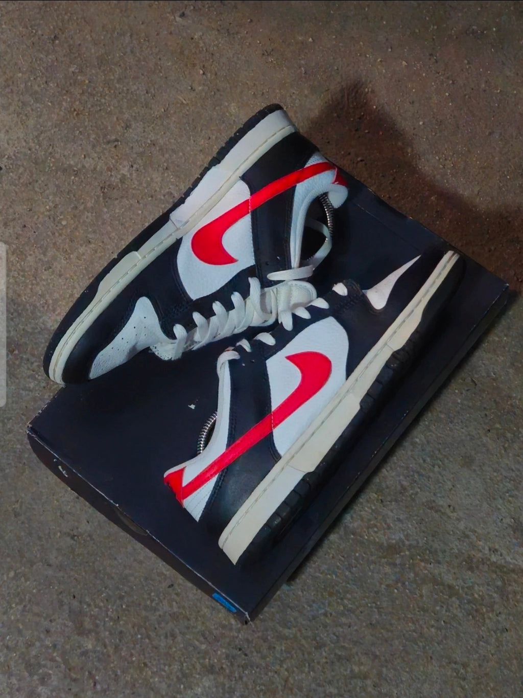Nike Dunk Low
