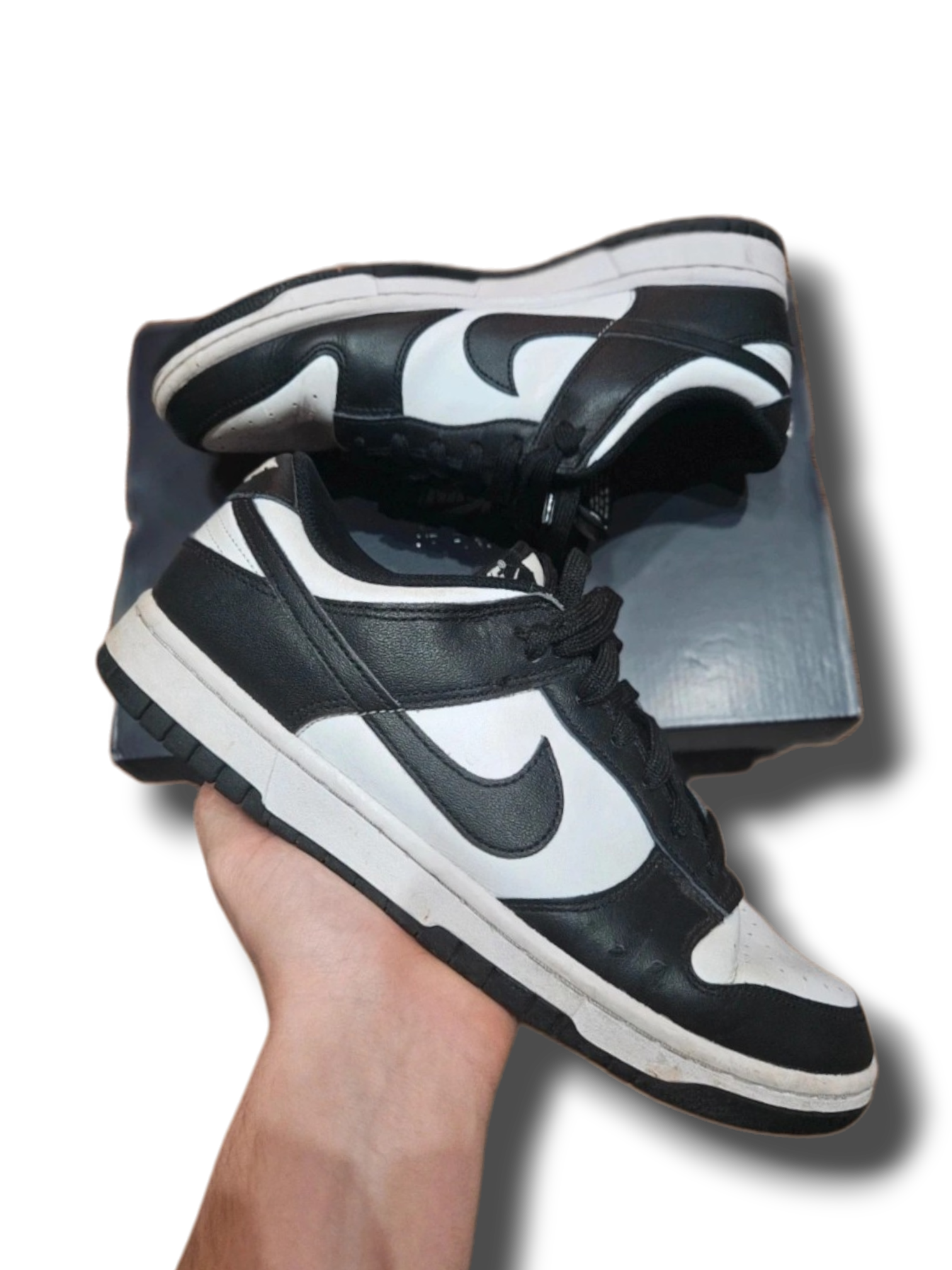 Nike Panda Dunk Low