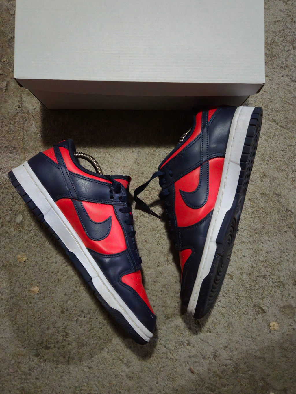 Nike Dunk Low
