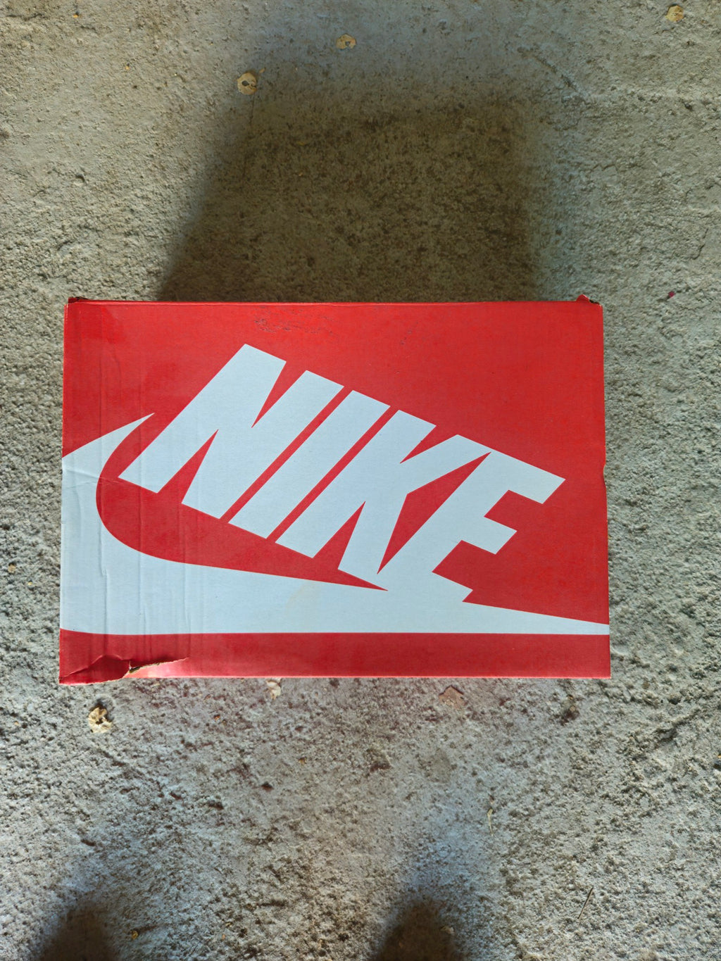 Nike Dunk Low Metalic Gold