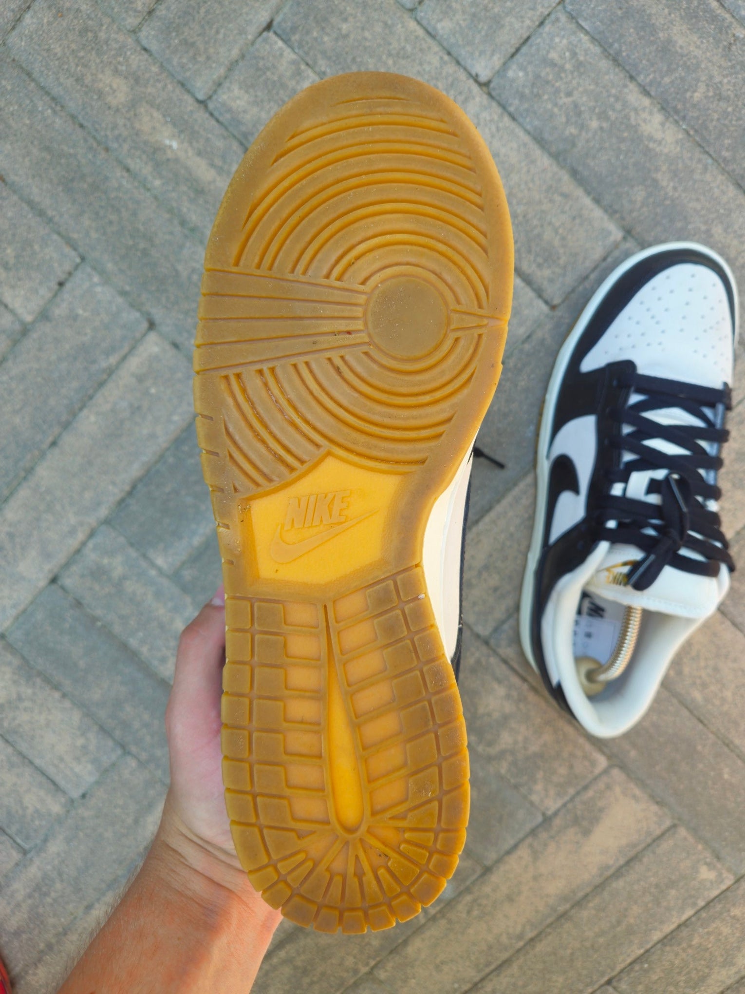 Nike Dunk Low